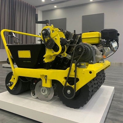 Garlic Planting Gasoline Engine 5.5HP 5 Rows Garlic Planting Machine