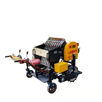 Easy Operation Automatic Agriculture Garlic Planting Seeder Machine Precision Garlic Planter